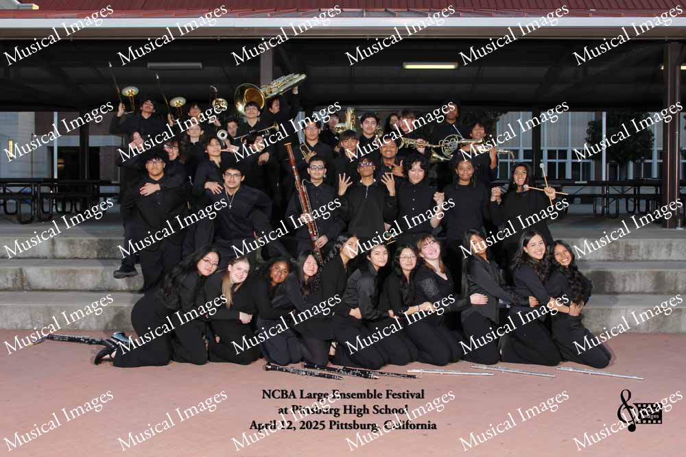 Musical Images
